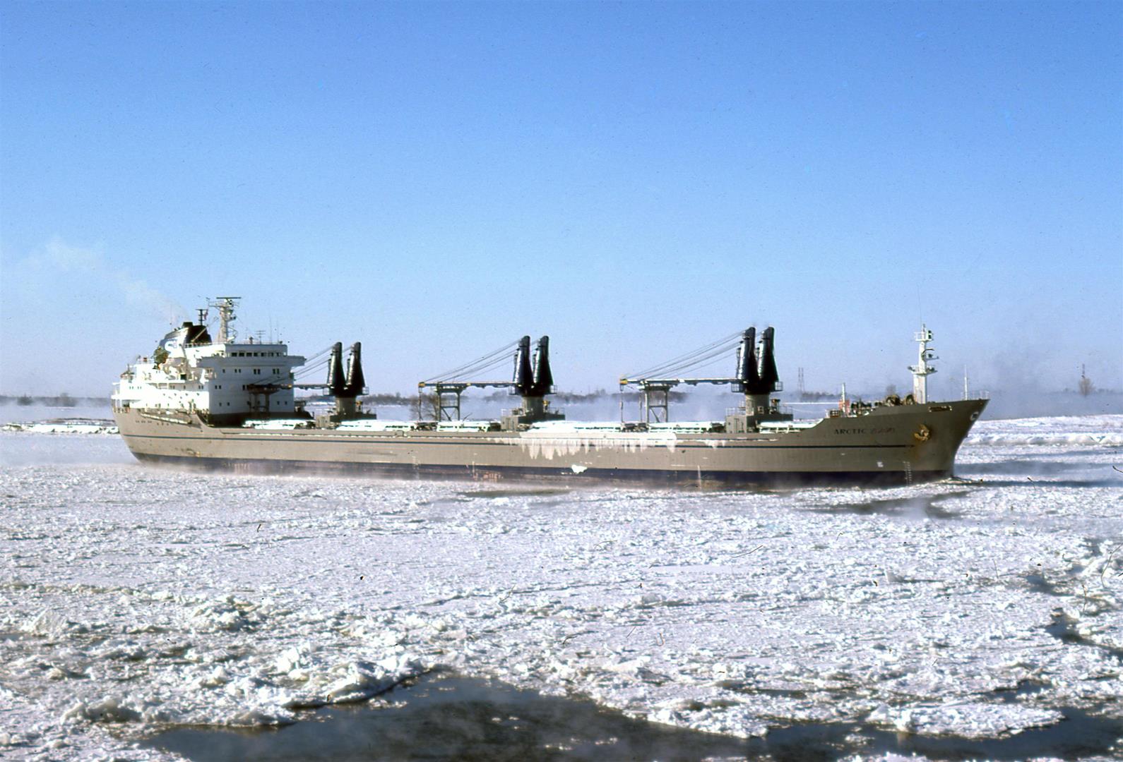 Arctic Skou