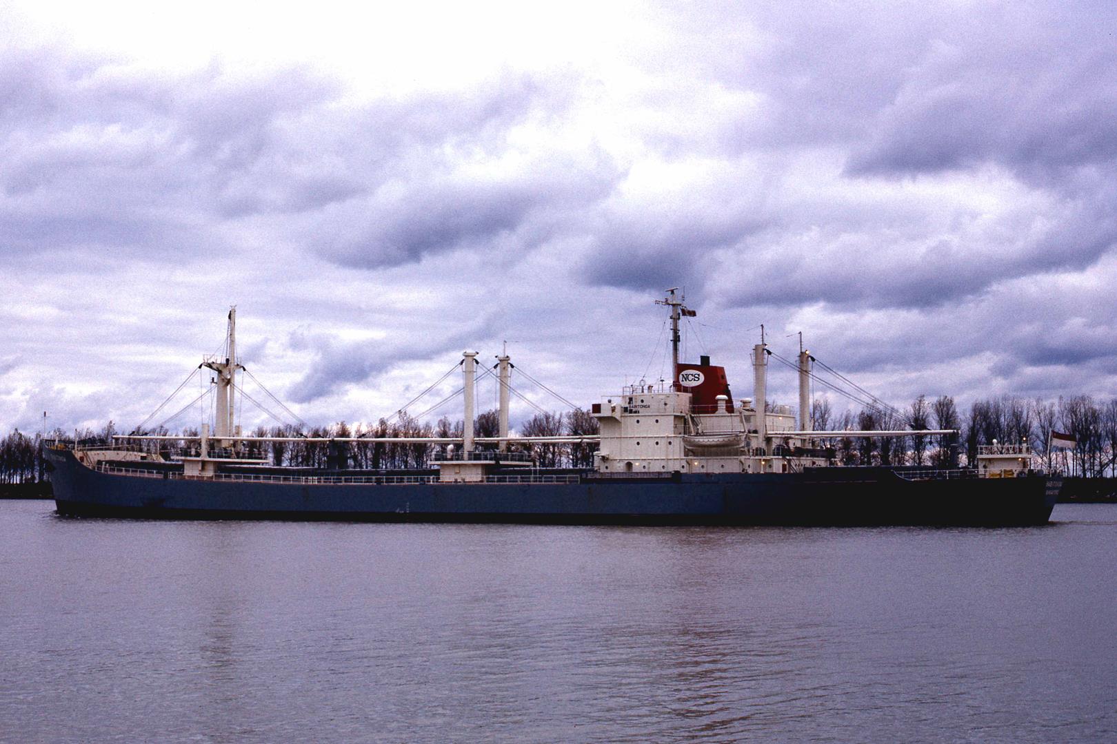 Babitonga
