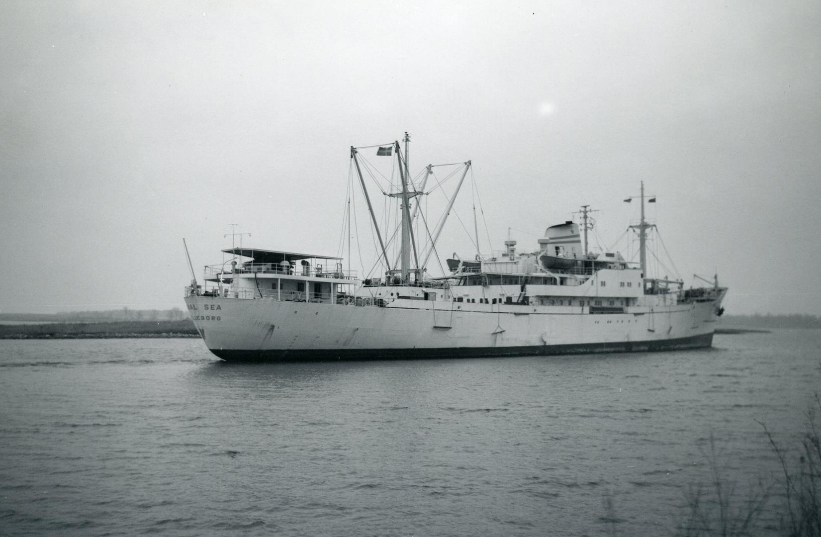 Coral Sea