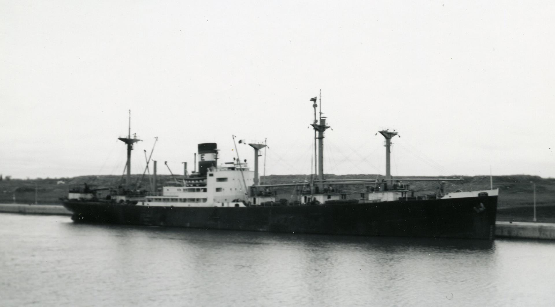 Extavia