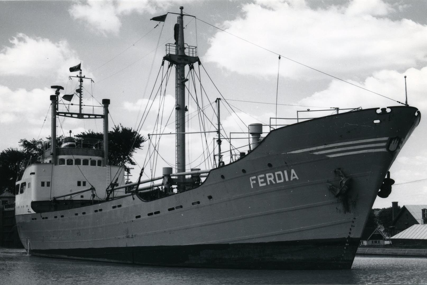 Ferdia