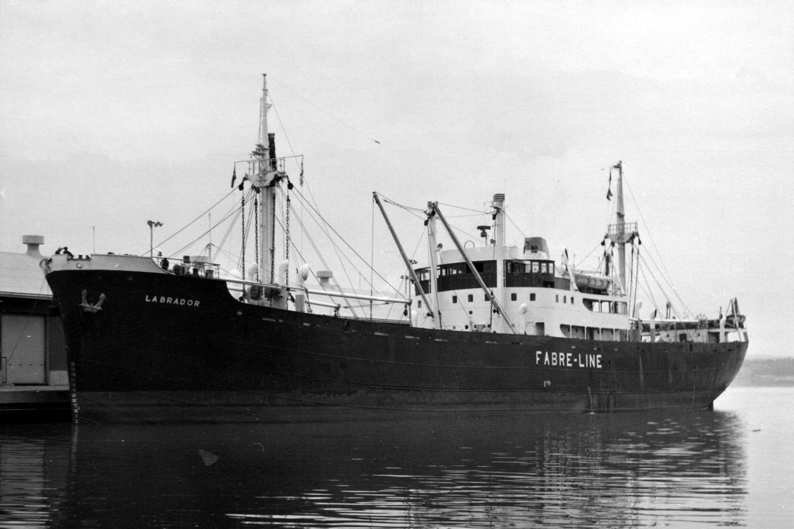 Labrador