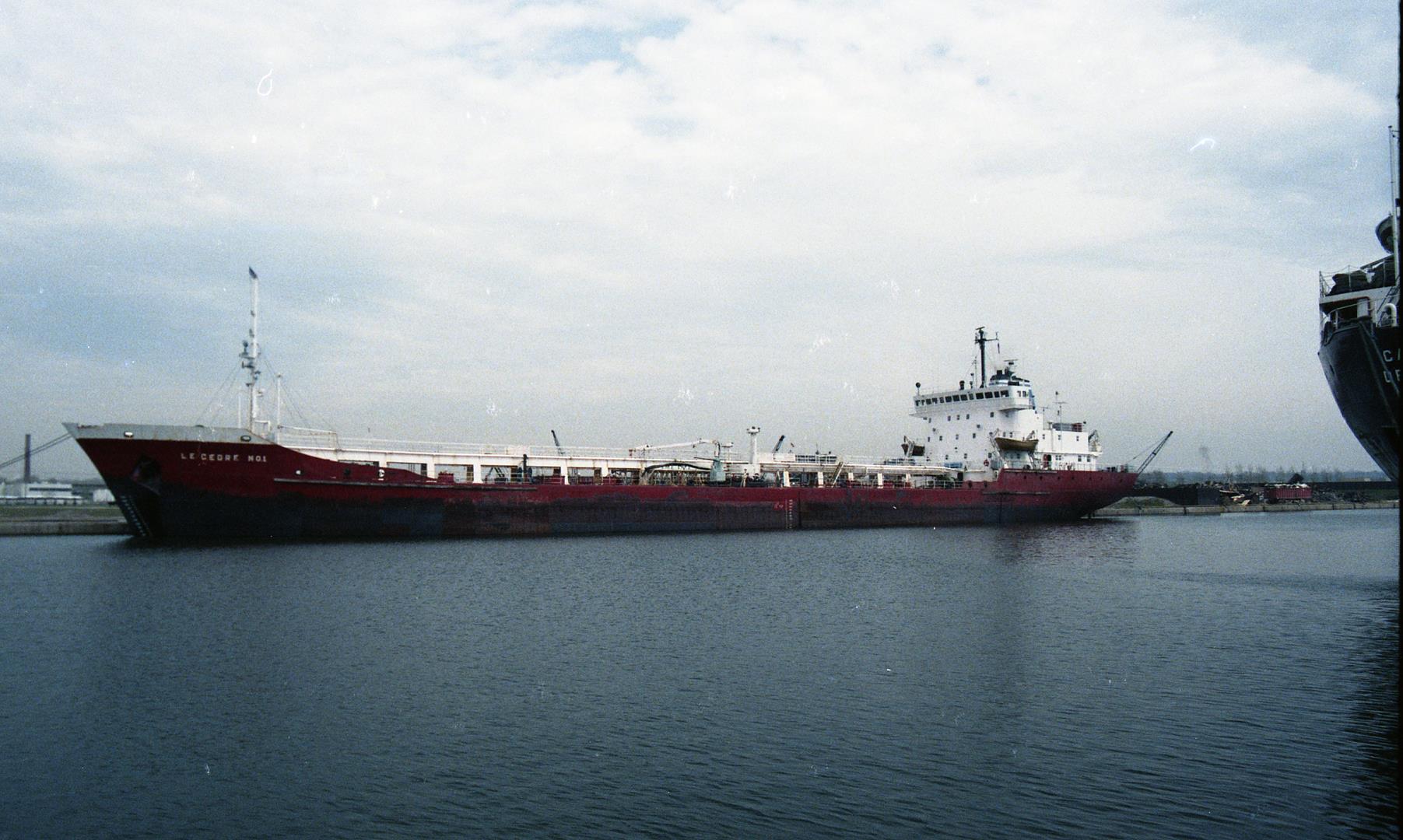 Le Cedre No 1