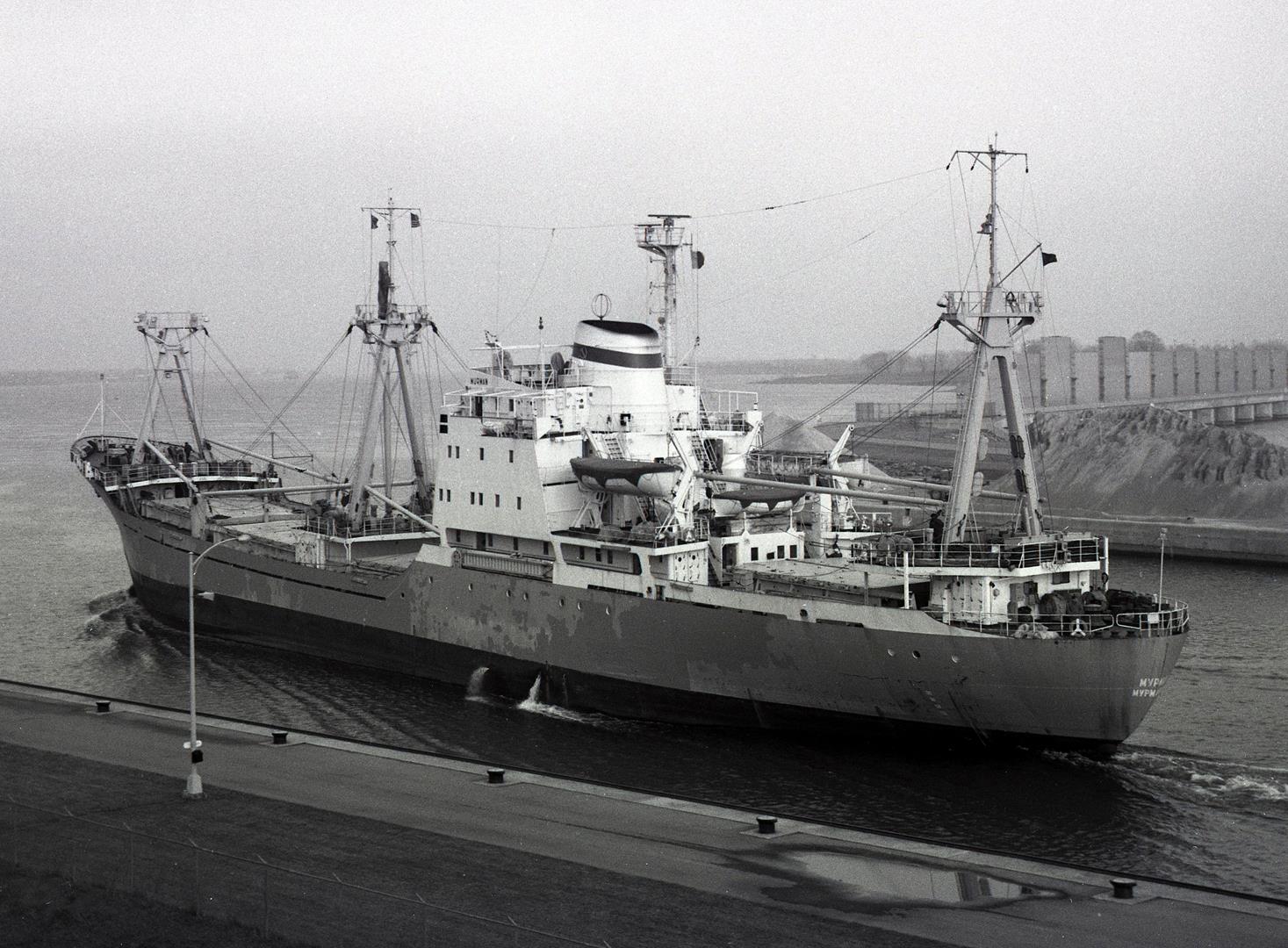 Murman