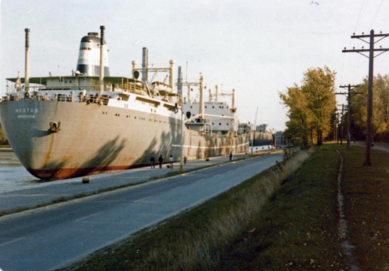 Nestos
