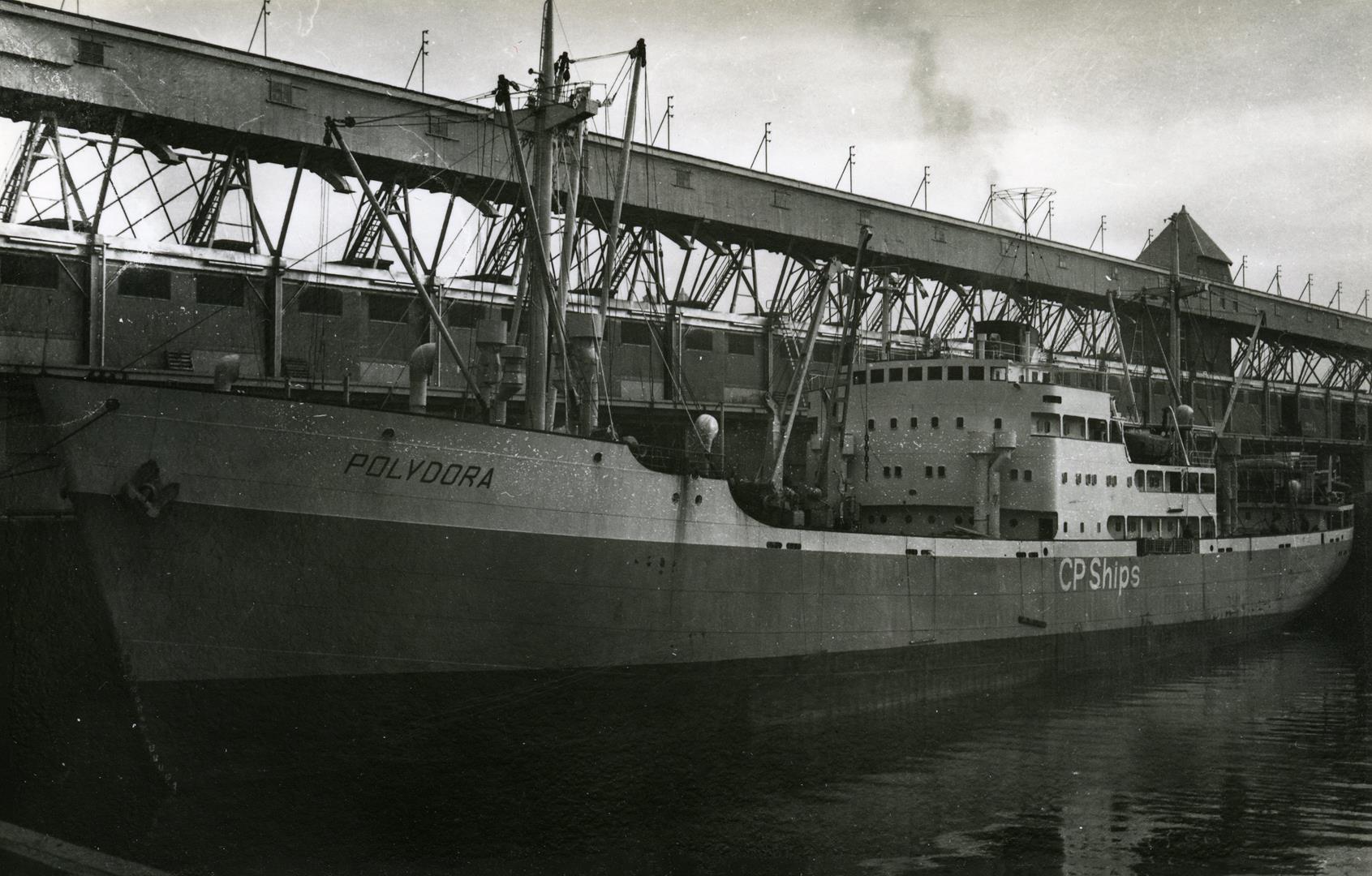 Polydora