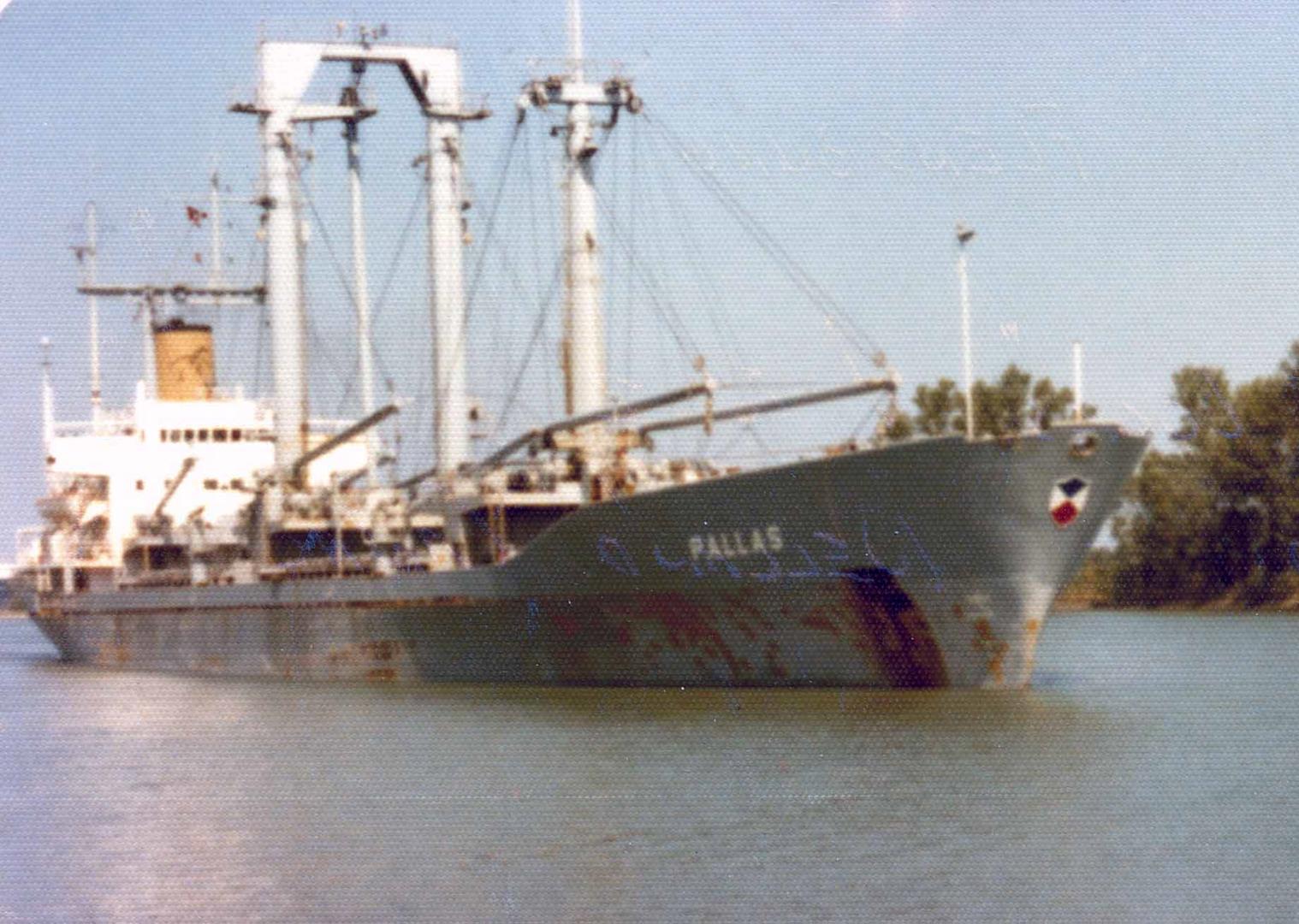Pallas