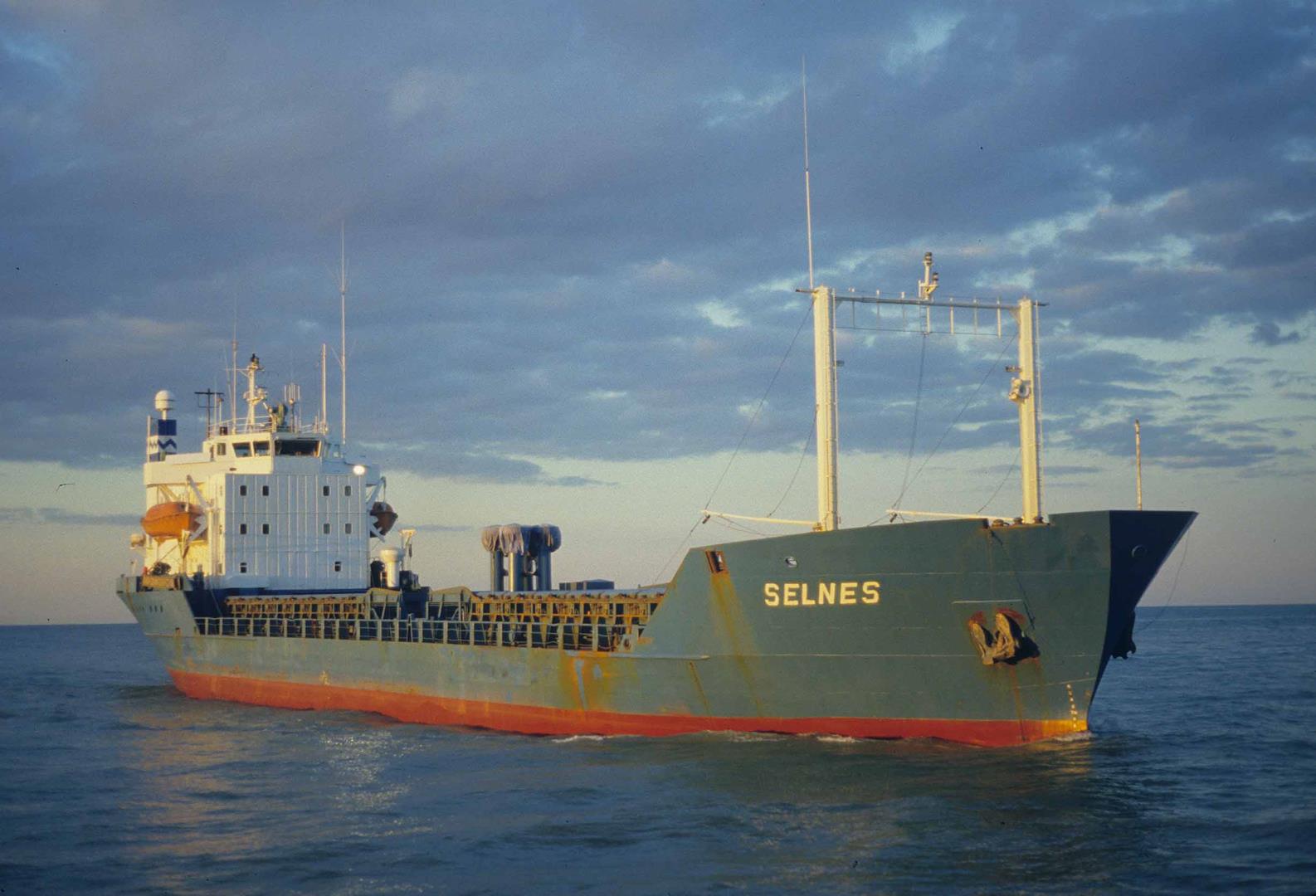 Selnes