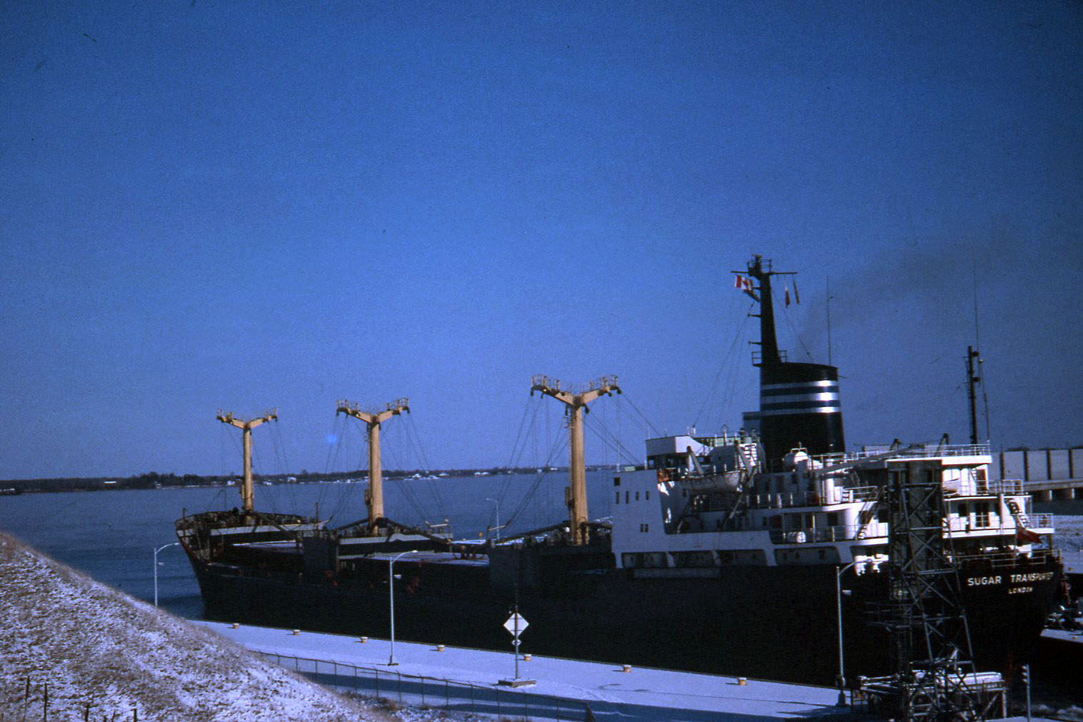 Sugar Transporter