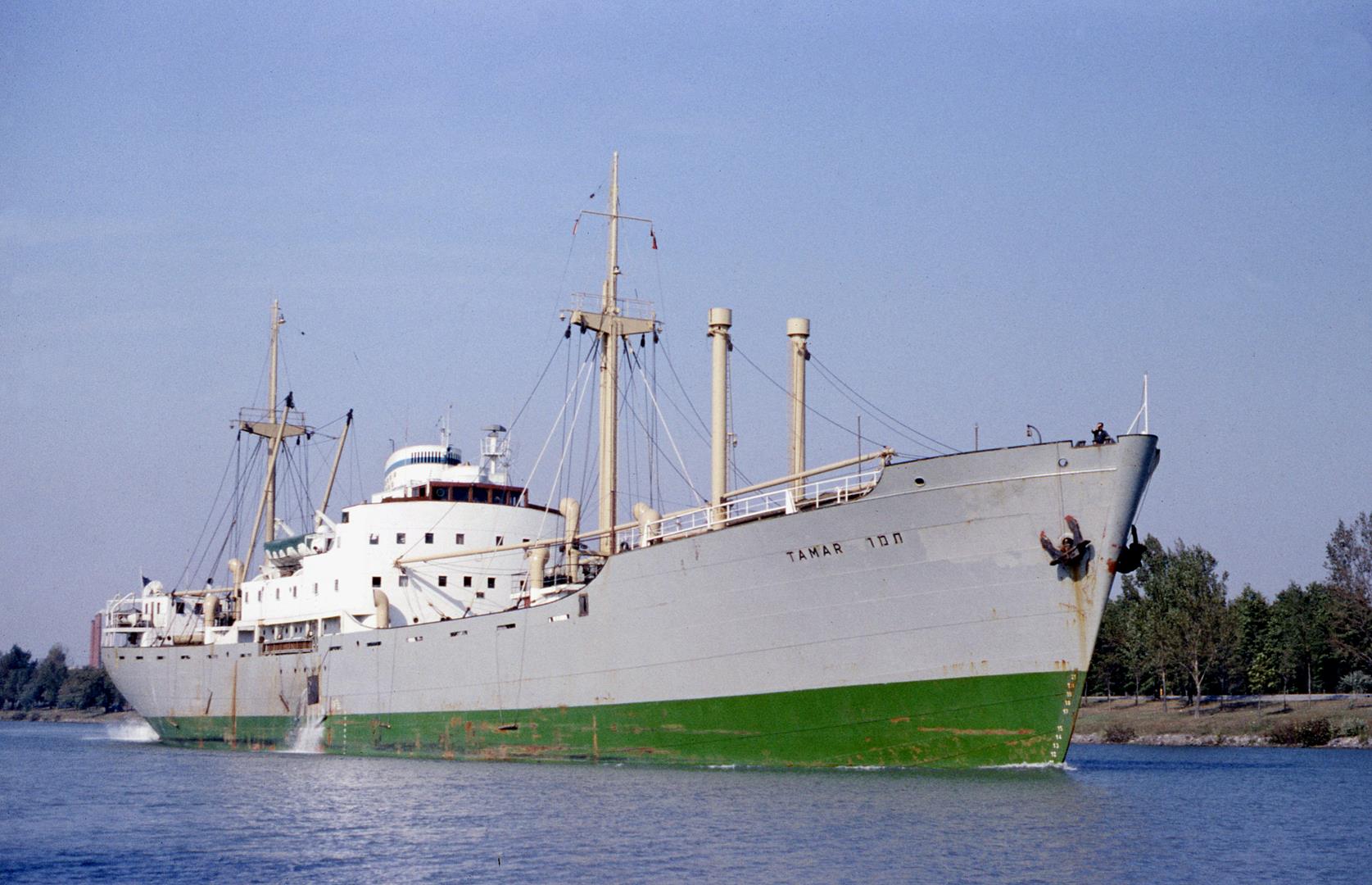 Tamar