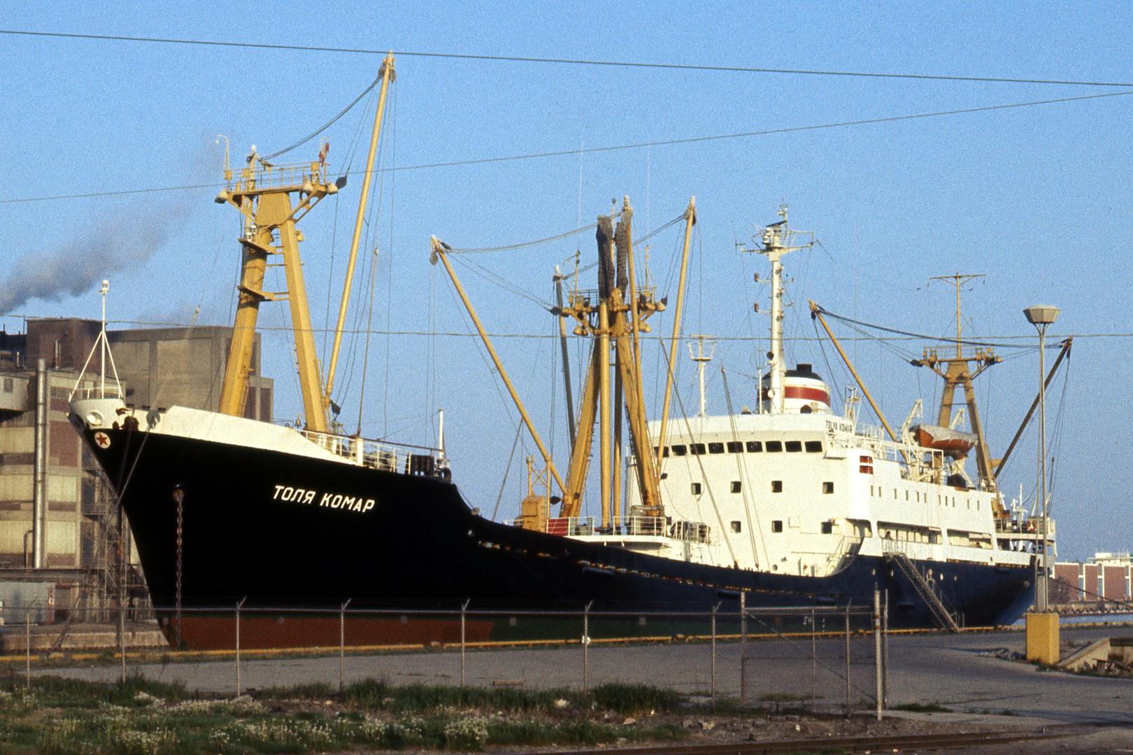 Tolya Komar